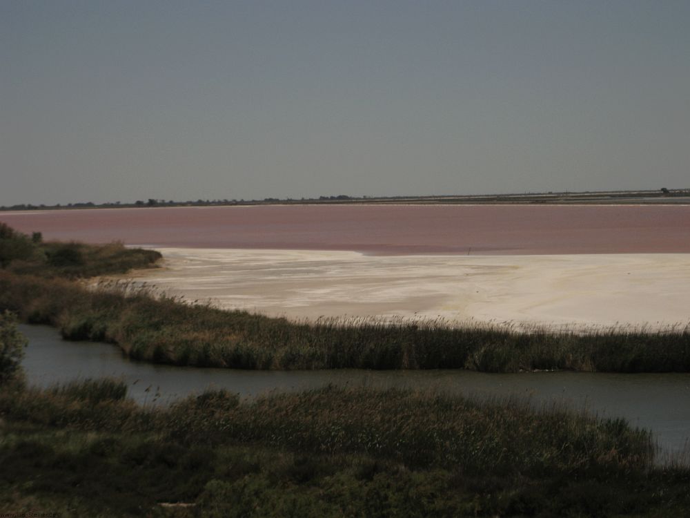 Salzfelder vor Aigues-Mortes